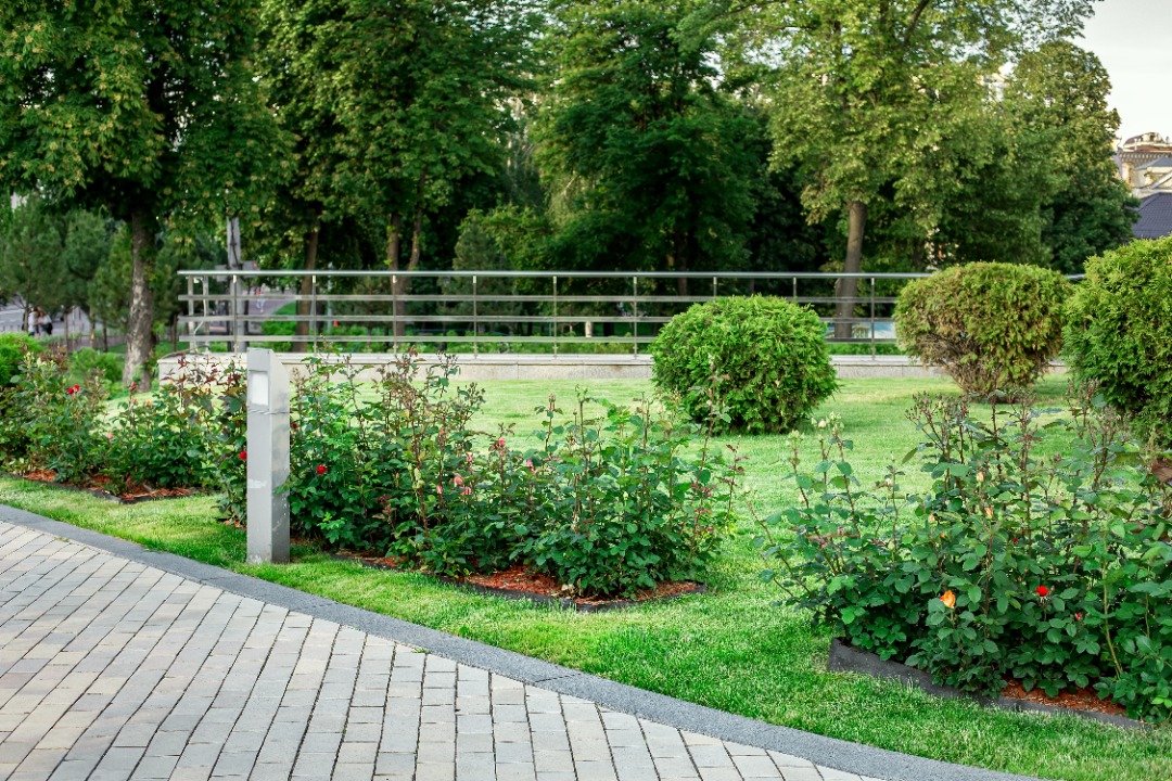 GreenAcresSnowLawn-Mulch-Davenport Multiple plant beds with new mulch installed.