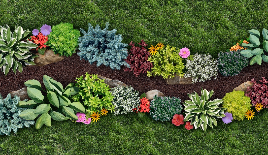 GreenAcresSnowLawn-Mulch-EastMoline Vibrant flowers and plants with fresh mulch installed.